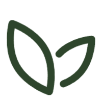 Produtos de materiais bioamigáveis